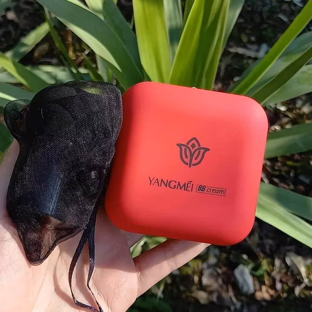 کوشن یانگمی YANGMEI شماره 02