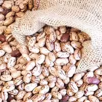 لوبیا چیتی بومی سورت شده لیزری