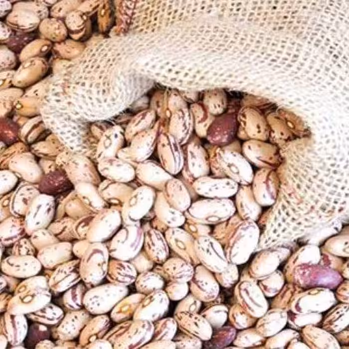 لوبیا چیتی بومی سورت شده لیزری