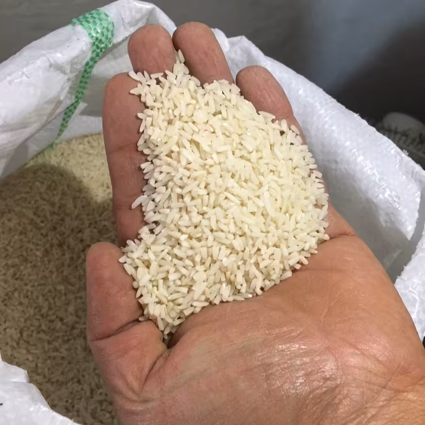 برنج هاشمی عطری بابخانه (متوسط)درجه 2  آستانه اشرفیه استان گیلان(بسته بندی 10 کیلو گرمی  قیمت هر کیلو 73 هزارتومان)