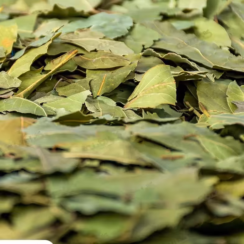 برگ بو (بحال خود) 20کیلویی