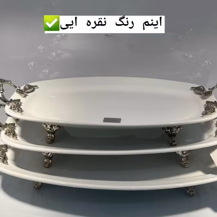 سینی دیس پذیرایی 40
