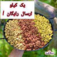 آجیل  سه مغز زعفرانی 250 گرمی اعتماد  ویژه و تازه | amazonchi