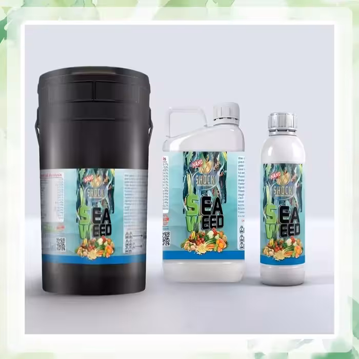 کود جلبک دریایی مایع شوک محصول آمریکا