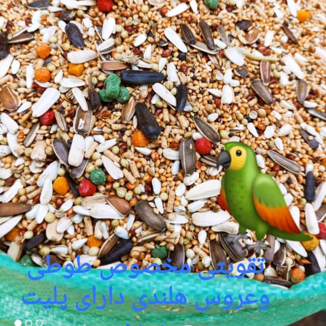 غذای عروس هلندی وطوطی سانان(یک کیلو گرمی )