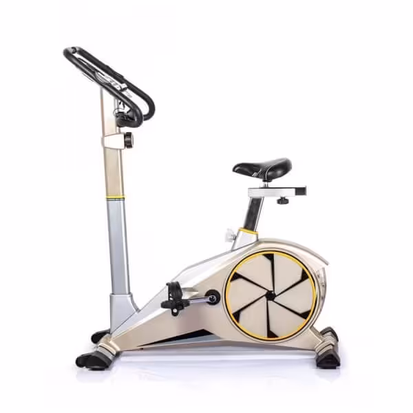 دوچرخه ثابت مگنتیک تایگر اسپرت