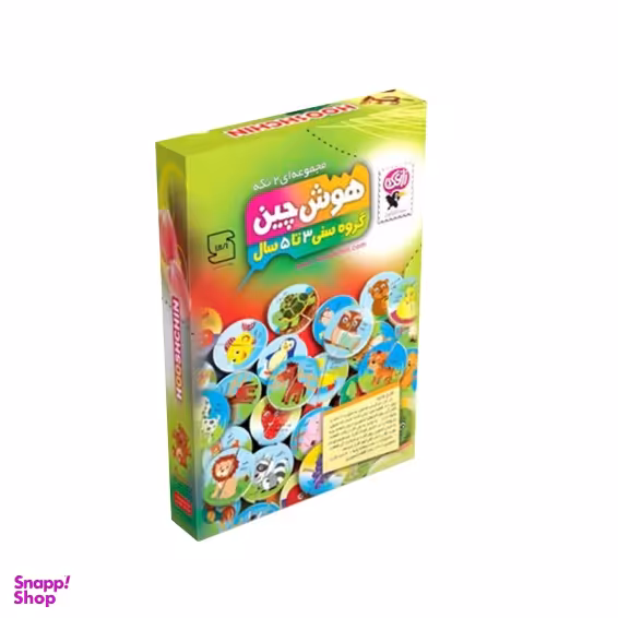 بازی هوش چین مجموعه ای 2 تکه وزن 550 گرم