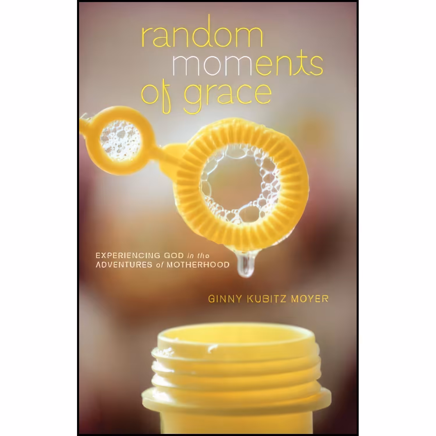 کتاب زبان اصلی Random Moments of Grace اثر Ginny Kubitz Moyer