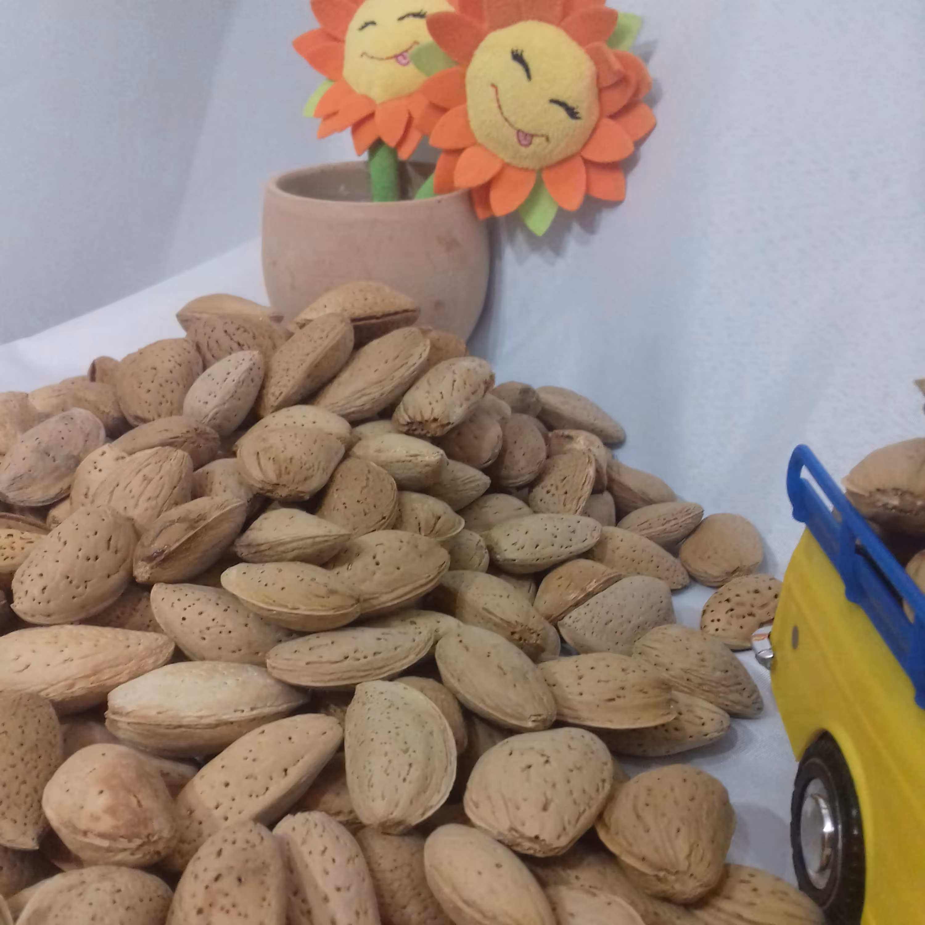 بادام درختی  شیرین  نهاوند بسته بندی 900 گرمی عدم استفاده از کود شیمیایی