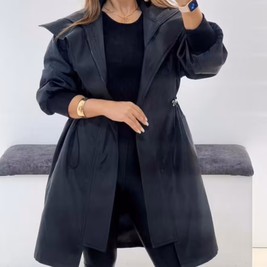 بارونی  مموری