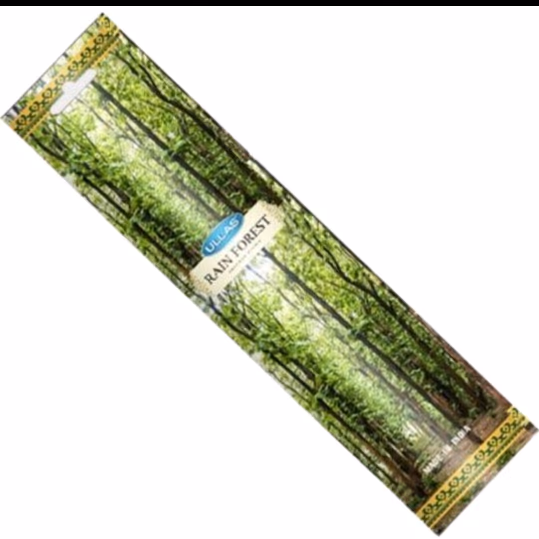 عود شاخه ای جنگل بارانی (رین فورست)