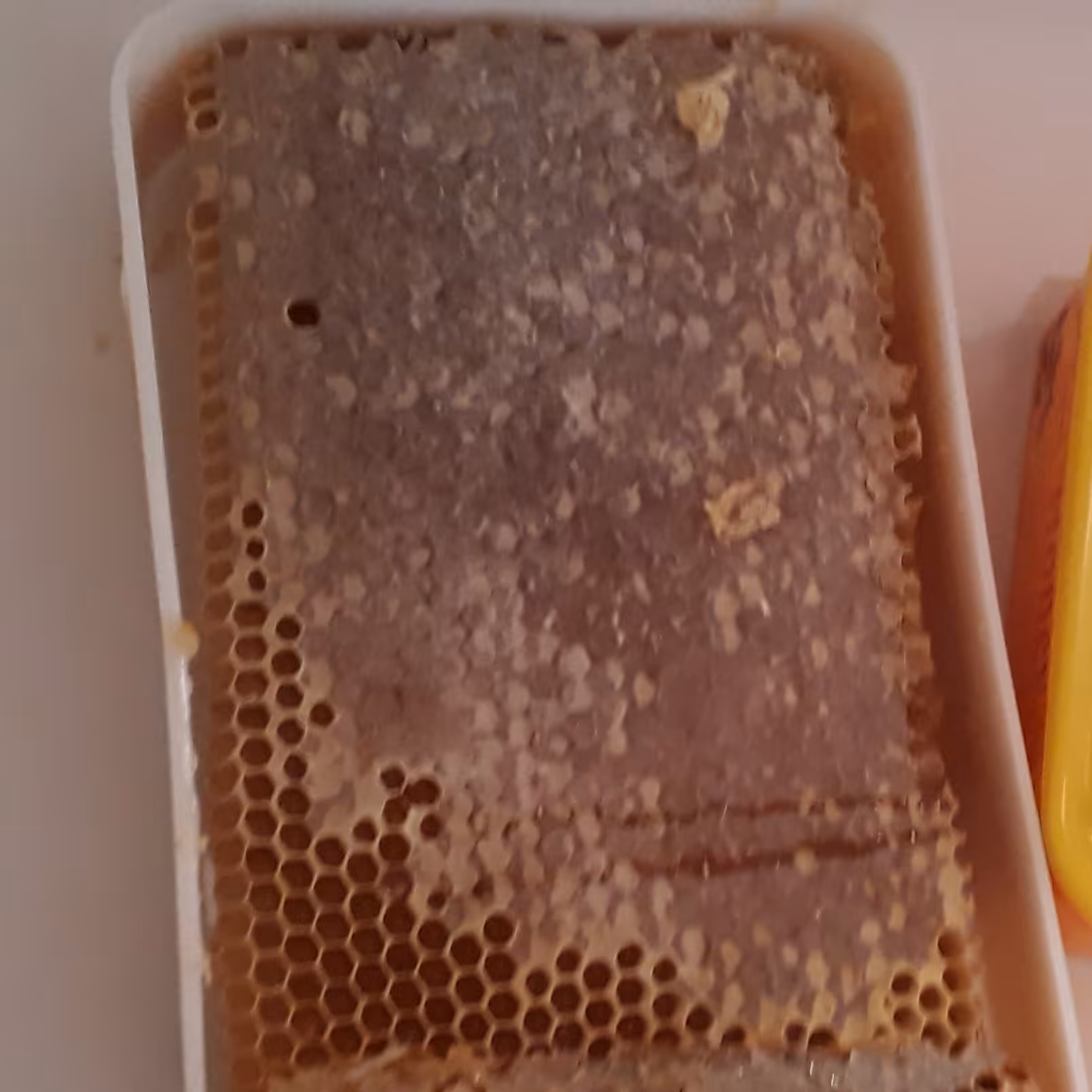 عسل مومدار 5 کیلویی طبیعی ارگانیک چهل گیاه مستقیم از زنبوردار بر گرفته از شهد گلهای کوههای سبلان #عسل مومدار