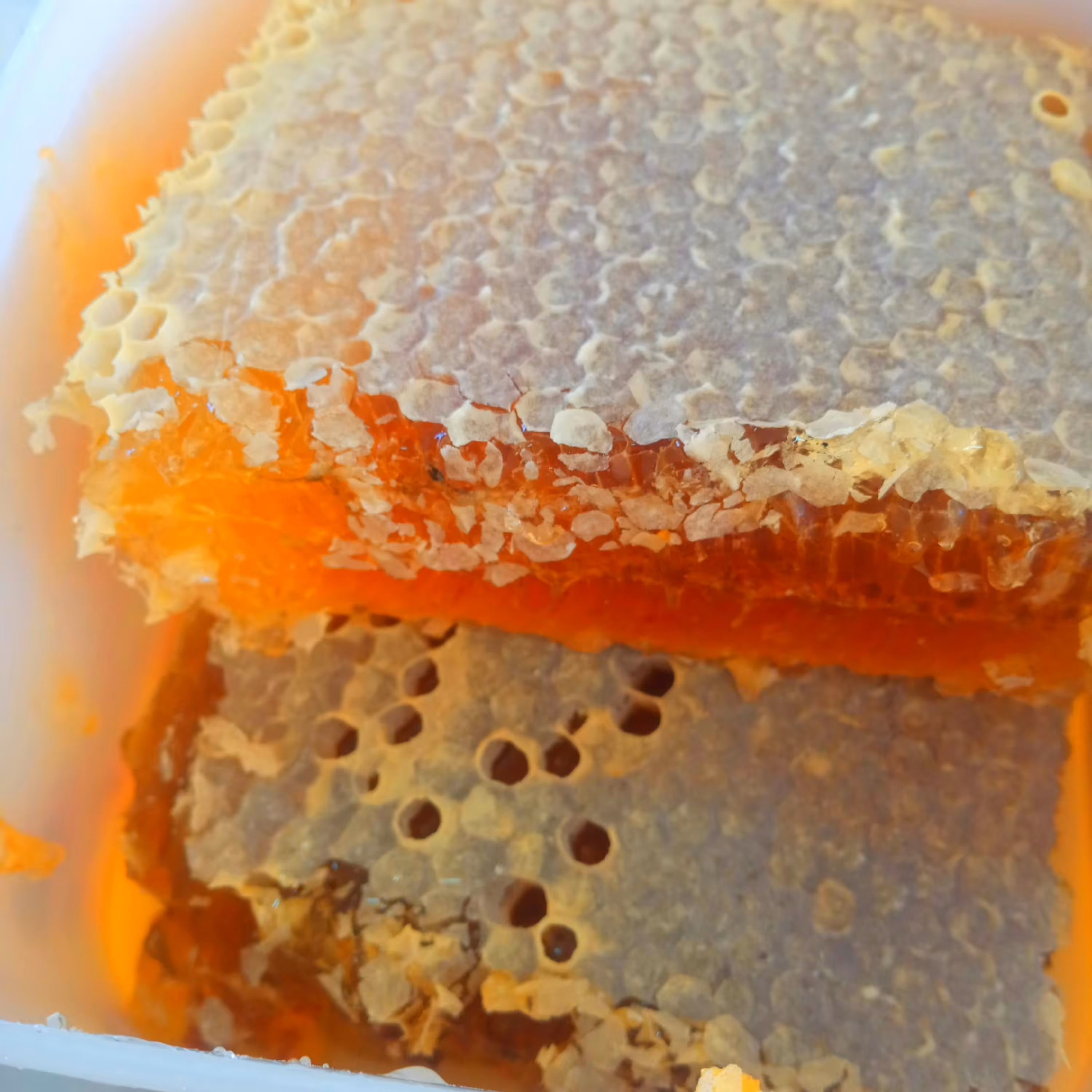 عسل اسپرس. مومدار طبیعی
