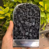 مویز بدون هسته نیم کیلویی یلدا آقای زعفران