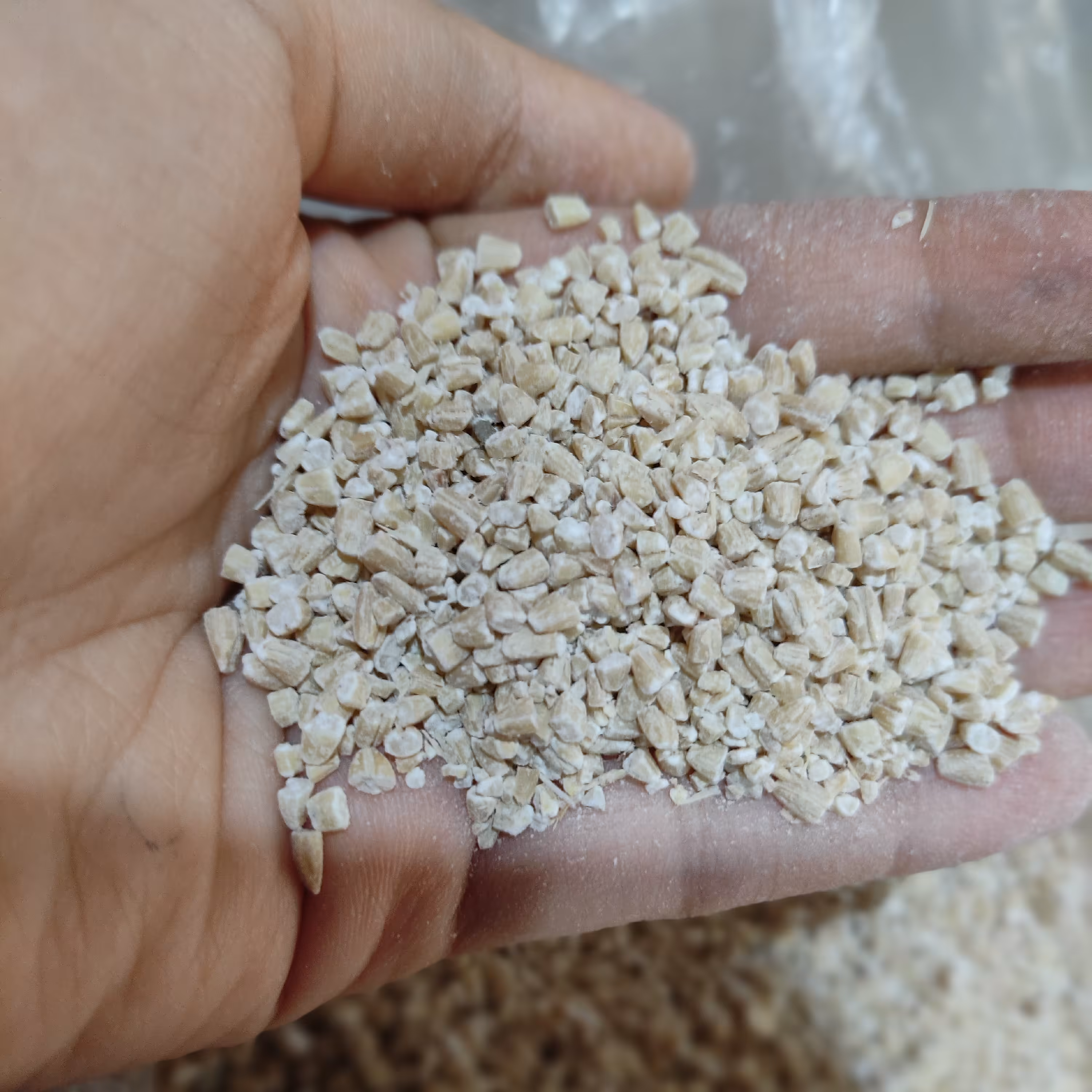 بلغور  جو  تمیز (1000 گرمی)