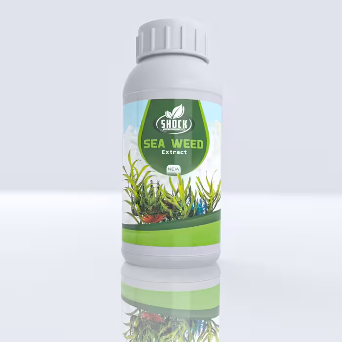 کود جلبک دریایی شوک آمریکایی اصل مایع 1 لیتری