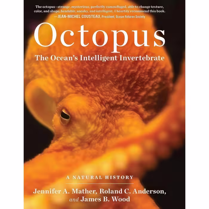 کتاب زبان اصلی Octopus اثر Jennifer A MatherRoland C AndersonJames B Wood