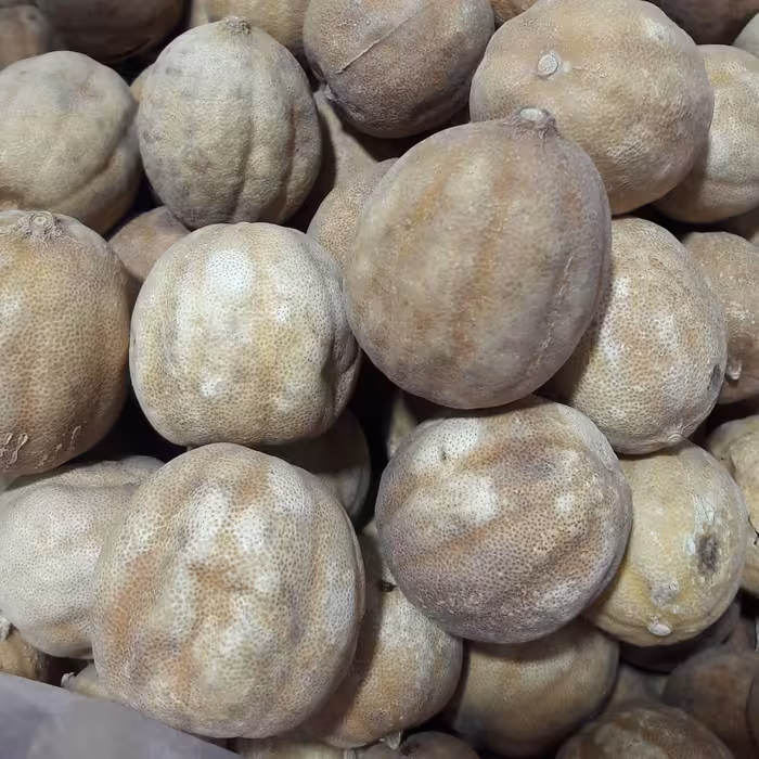 لیمو عمانی متوسط اعلاء 100 گرمی
