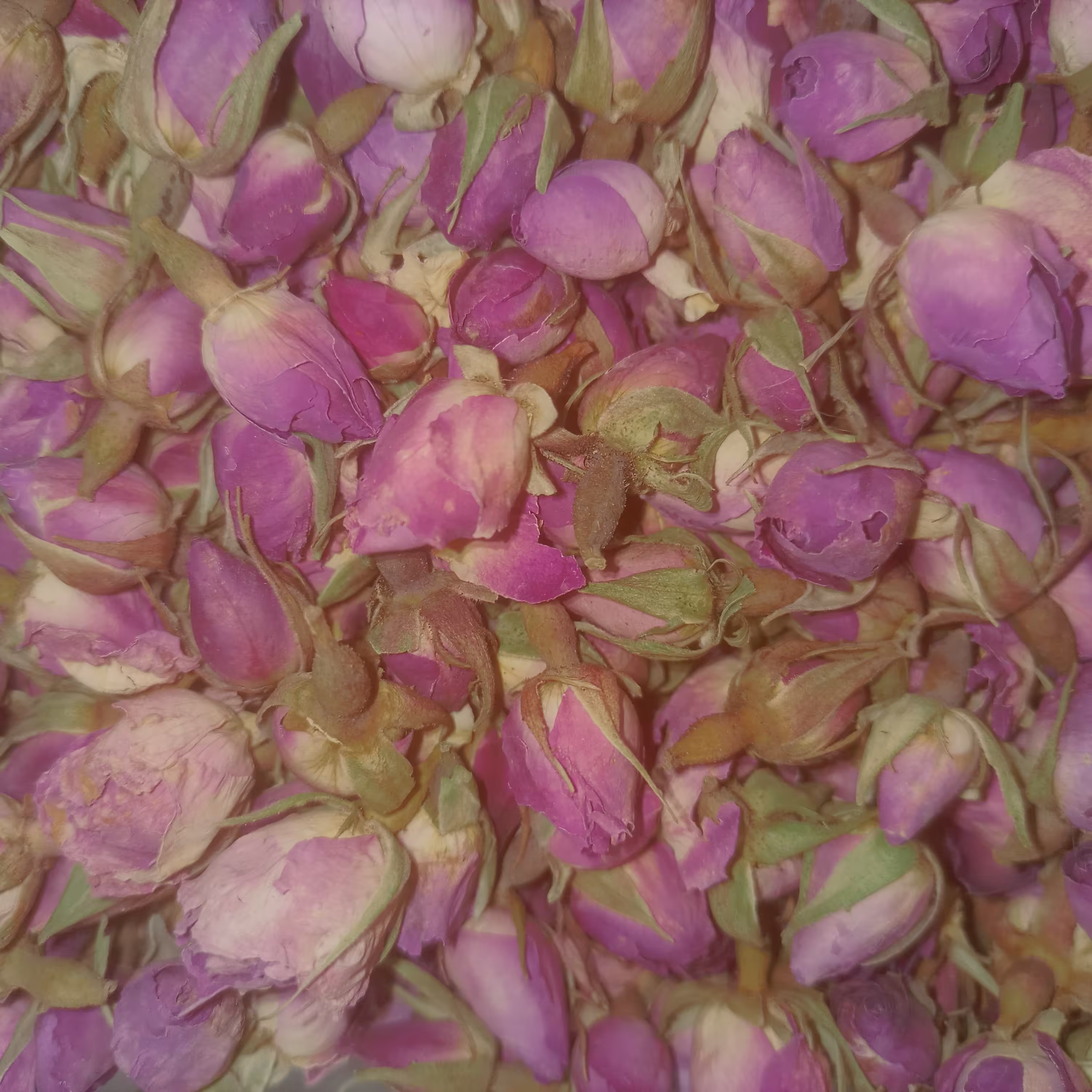 غنچه گل محمدی معطر  100 گرمی ( عطاری فاطر )