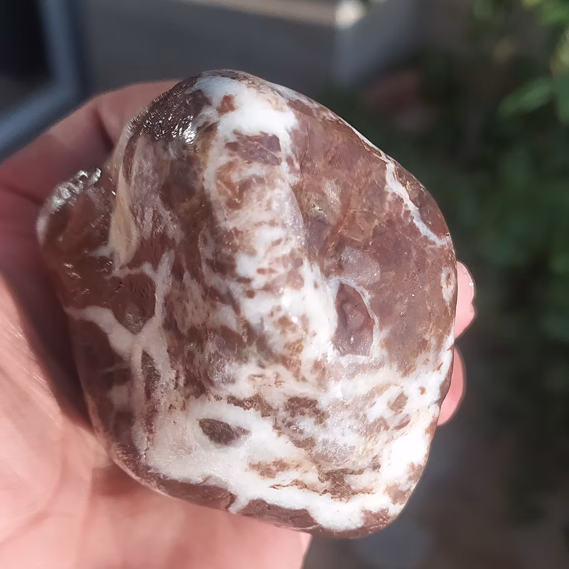 راف سنگ جاسپر قرمز و سفید