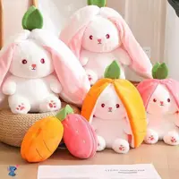 خرگوش سوپرایزی 