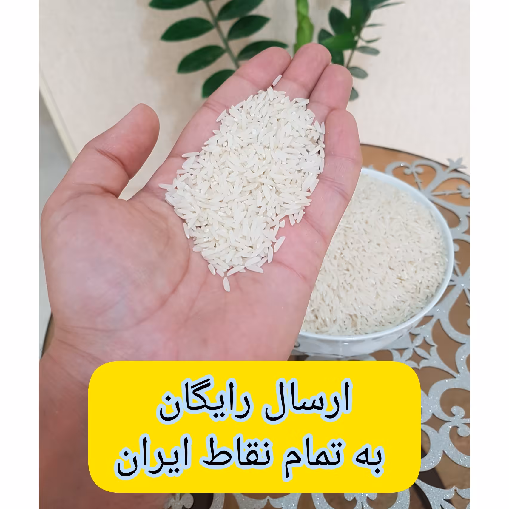 برنج هاشمی اعلاء سفارشی امساله آستانه اشرفیه(5 کیلوگرم)