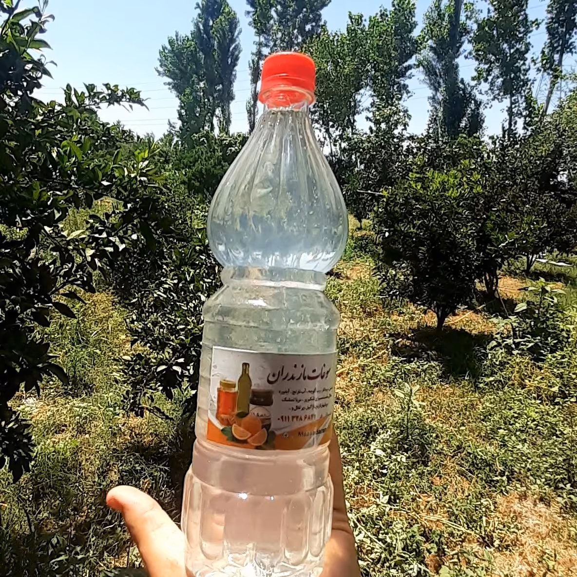 عرق بهارنارج 1لیتری شمال با عطر و بوی بی نظیر 