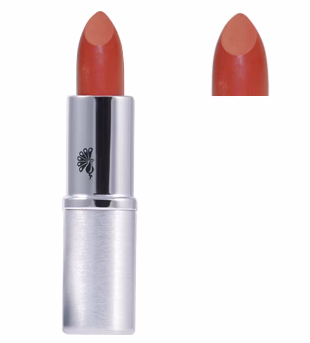 رژ لب سیلکی شاین مای (401-عنابی روشن)(LSMY1)