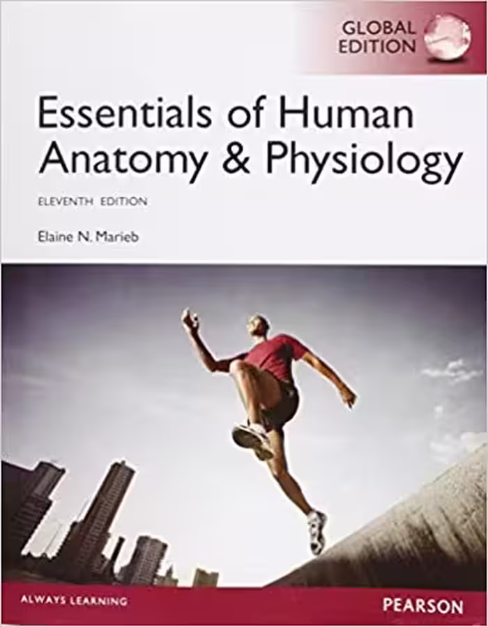 󾕇 دانلود کتاب Essentials Of Human Anatomy &amp; Physiology, 11th ed, 2015 - دانلود کتاب های دانشگاهی