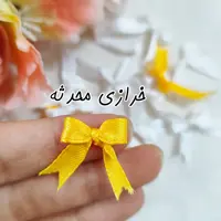پاپیون ربانی سایز  کوچک (بسته 10 تایی)