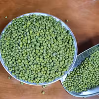 ماش سایز متوسط پزا (1 کیلو گرم)