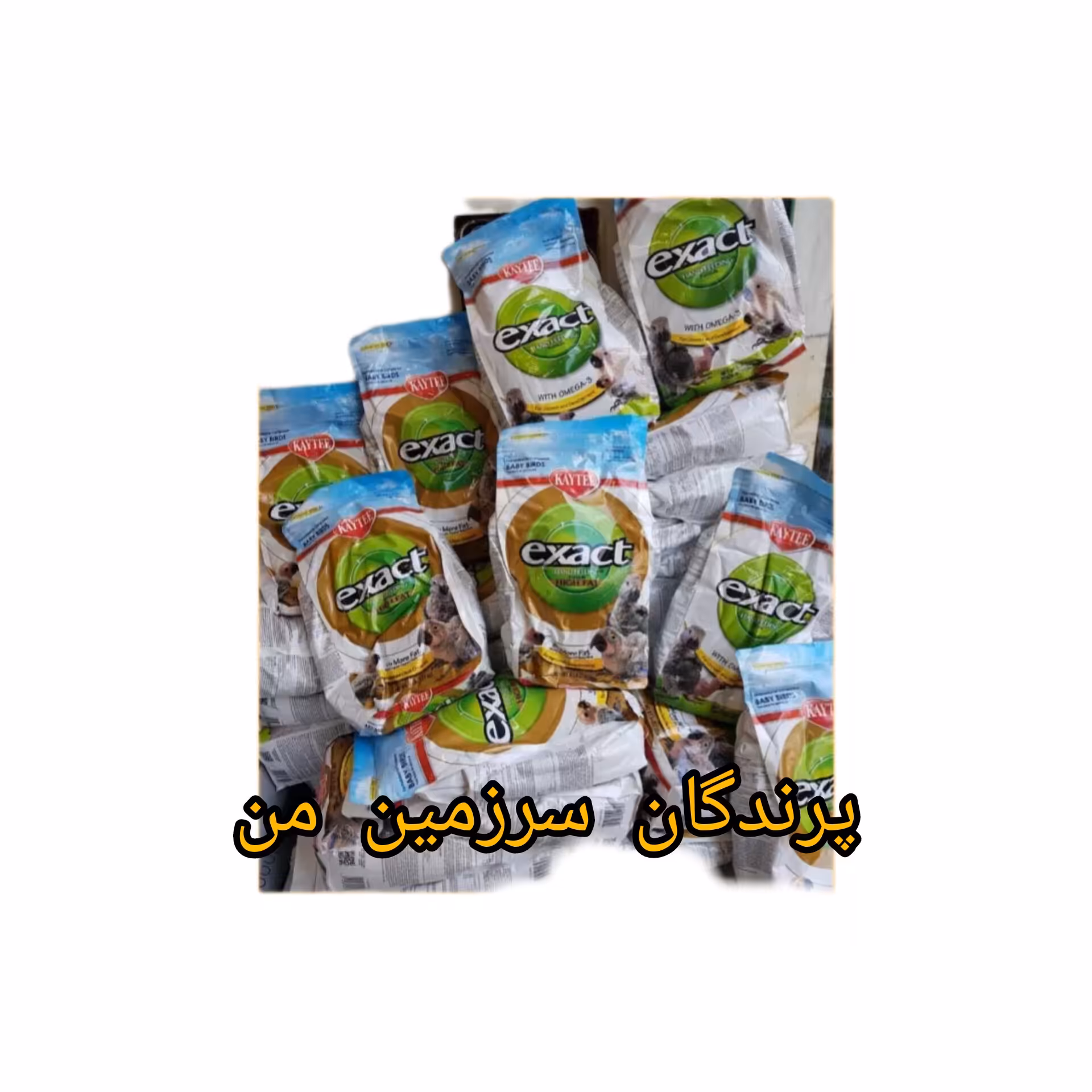سرلاک اگذکت امگا پرنده 200گرم محصول آمریکا