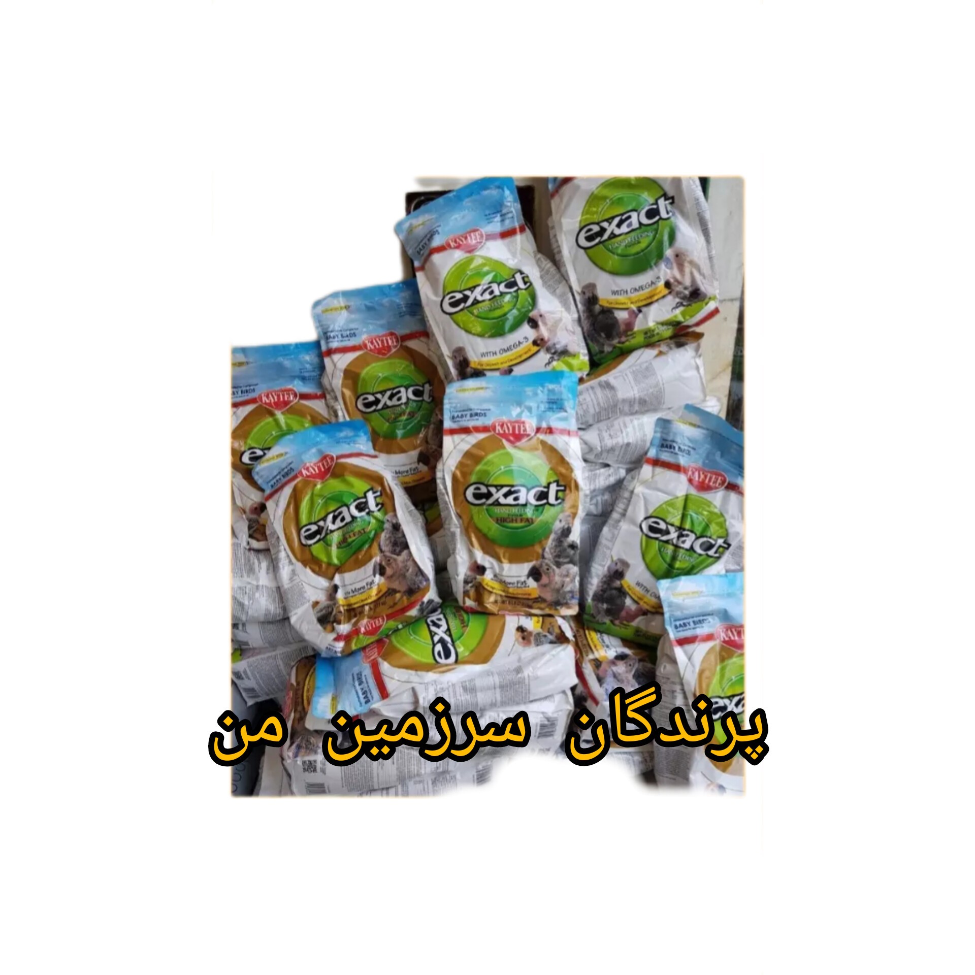 سرلاک  اگذکت امگا پرنده  200گرم محصول آمریکا