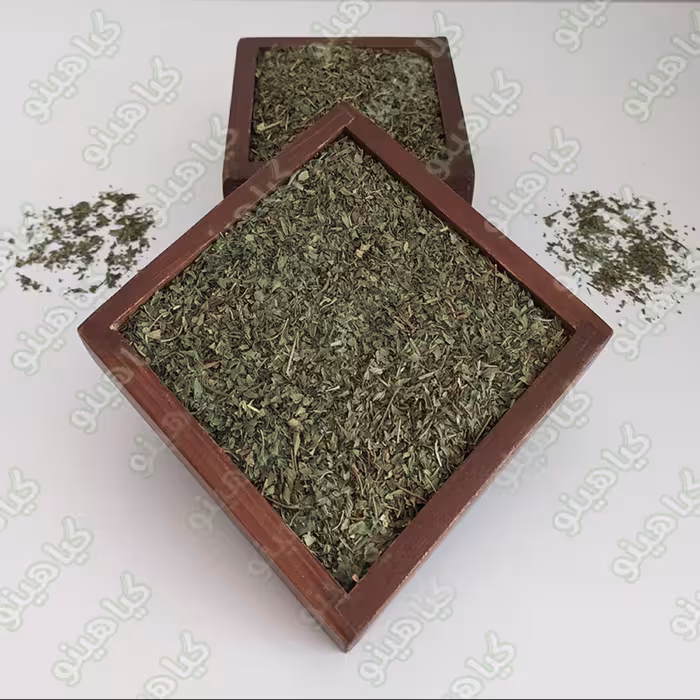 نعنا خشک برگ یک کیلویی گیاهینو