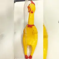مرغ نالان 