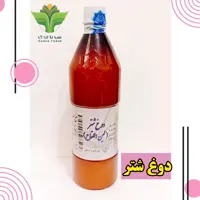 دوغ شتر
