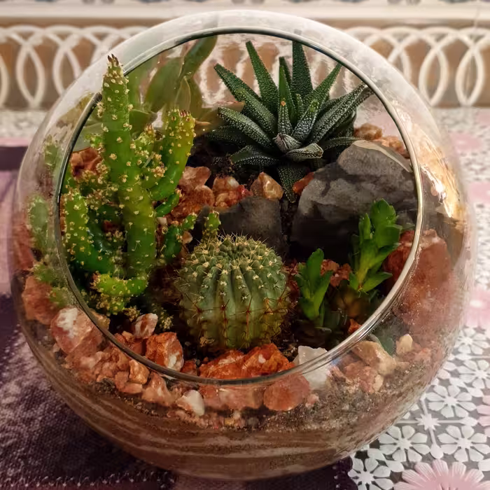 تراریوم یا باغ شیشه ای مدل a02