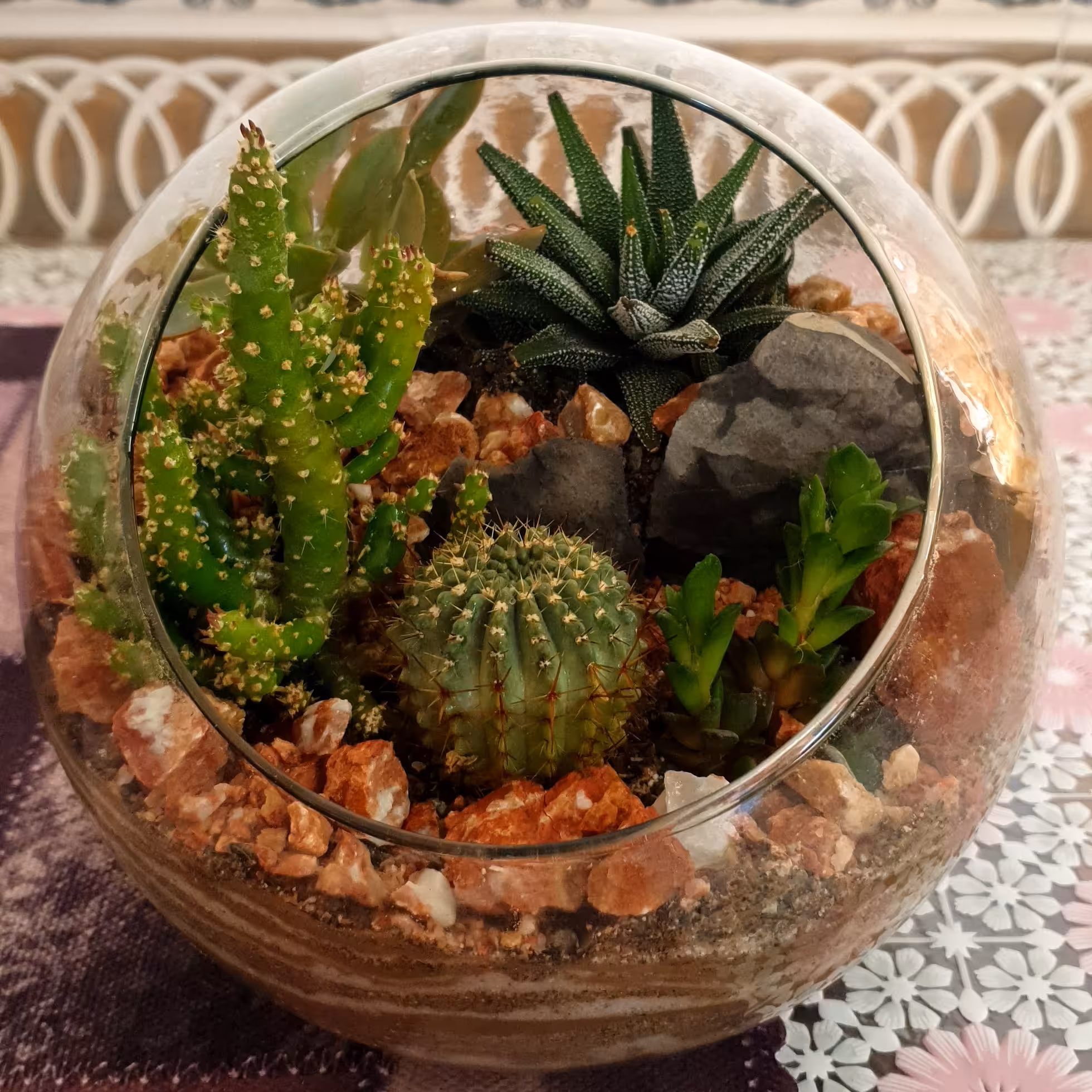 تراریوم یا باغ شیشه ای مدل a02