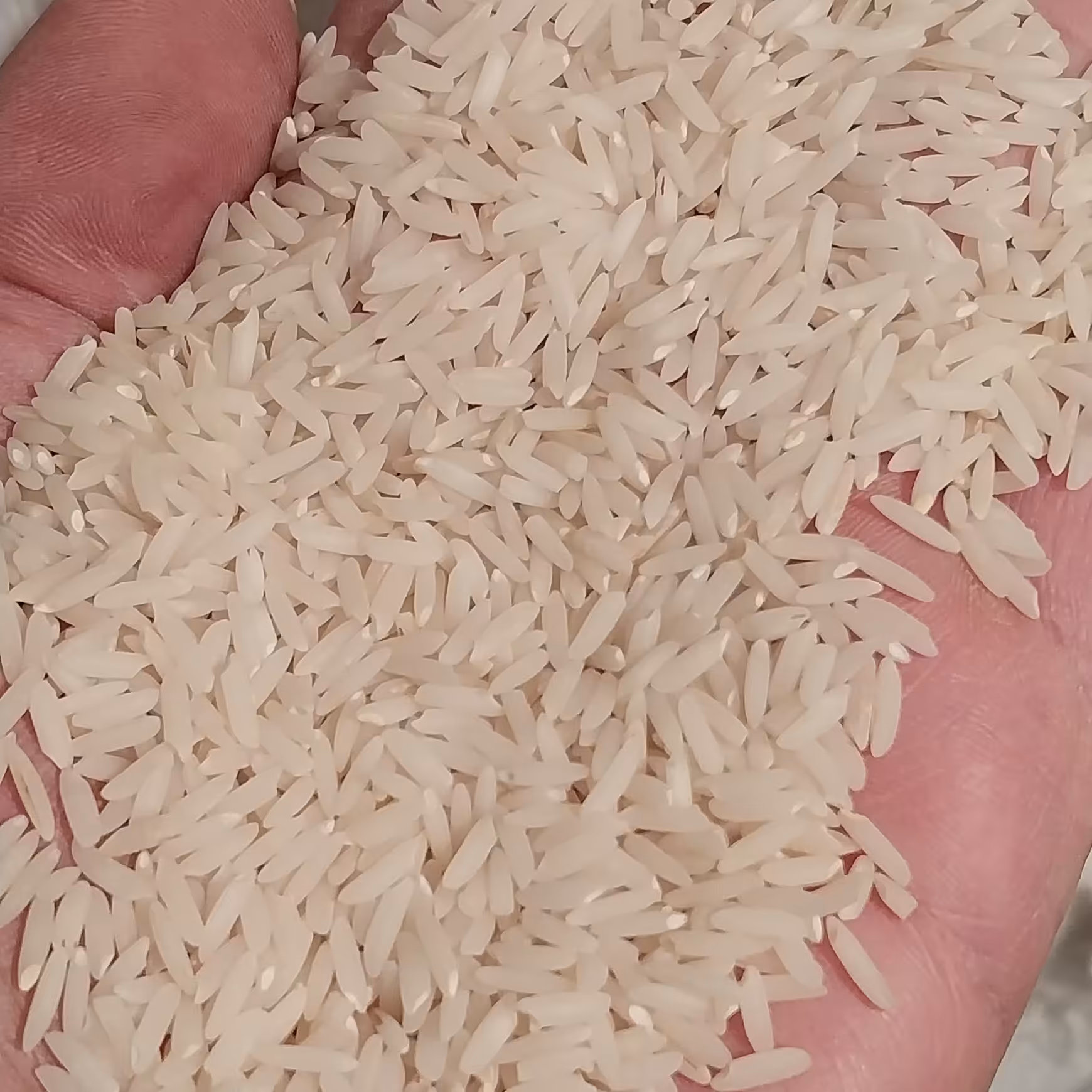 برنج هاشمی مناسب خوراک روزمره بسته 10 کیلویی