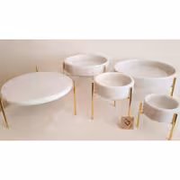 ظروف پذیرایی