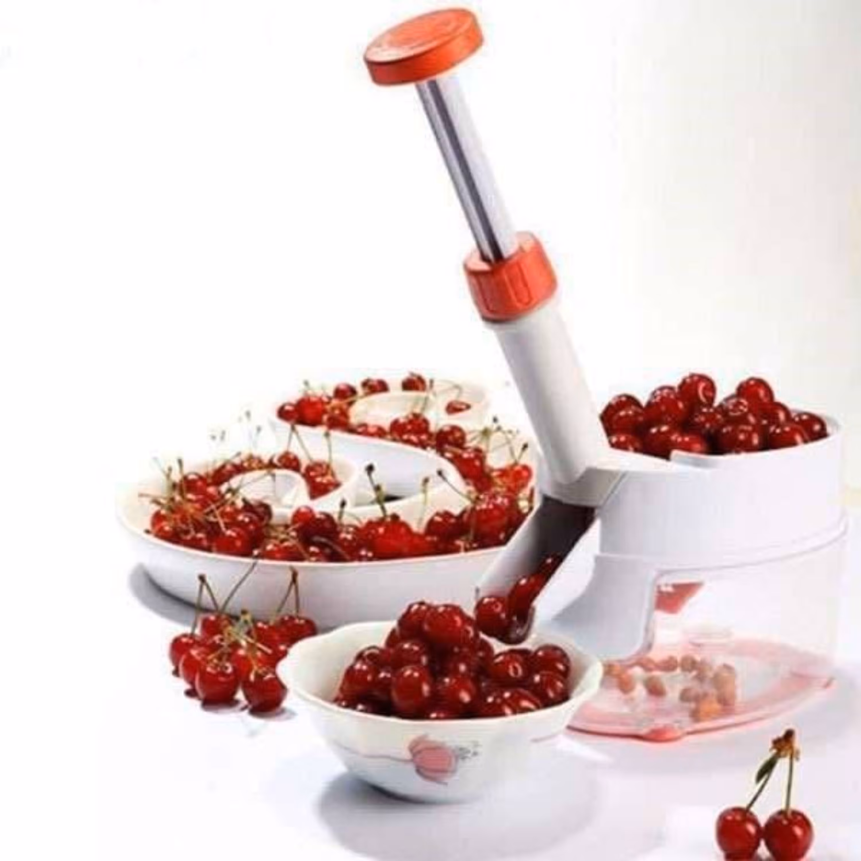 هسته گیر آلبالو 