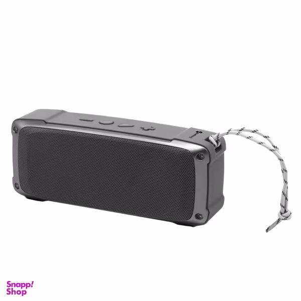 اسپیکر بلوتوثی قابل حمل نیوریکسینگ مدل NR-4020