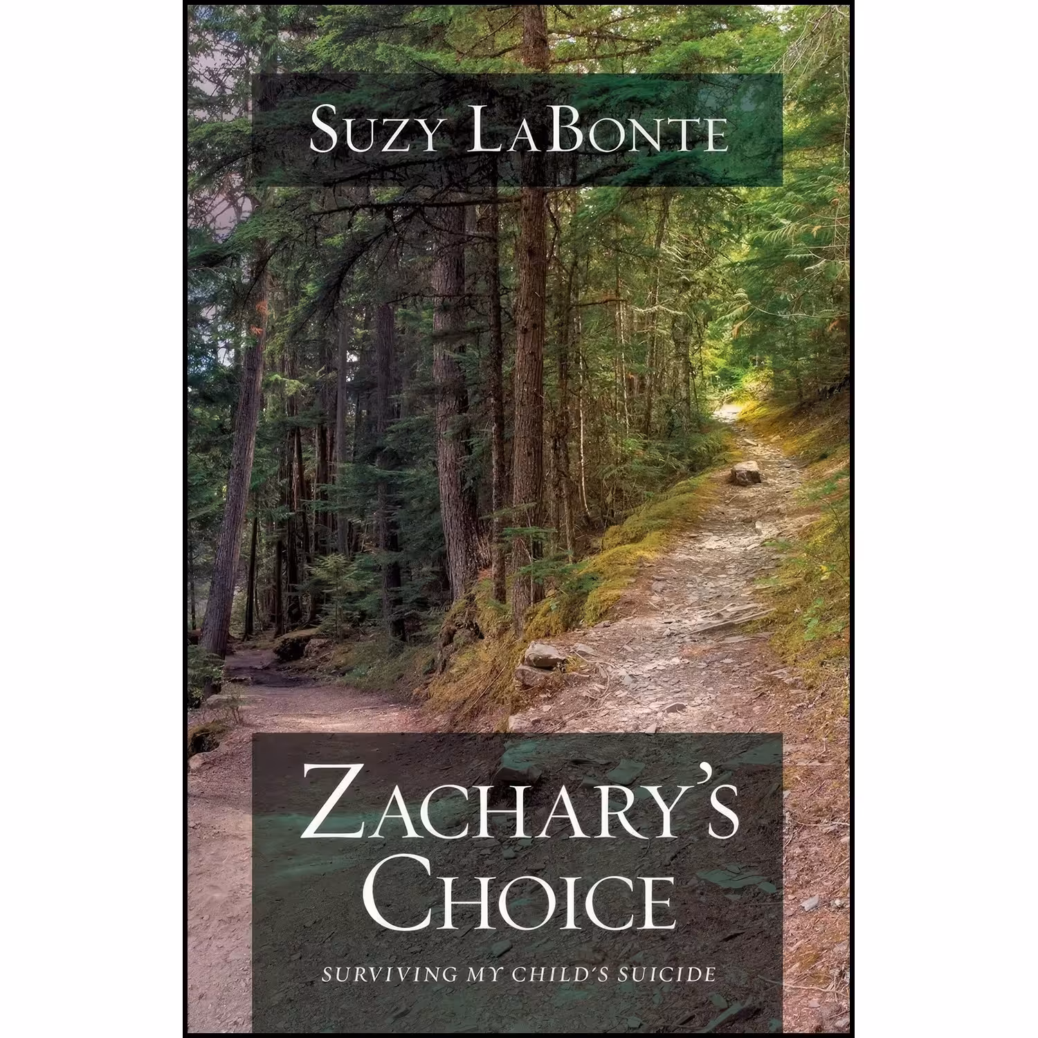 کتاب زبان اصلی Zacharys Choice اثر Suzy LaBonte