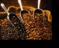 دان قهوه 90درصد ربوستا 