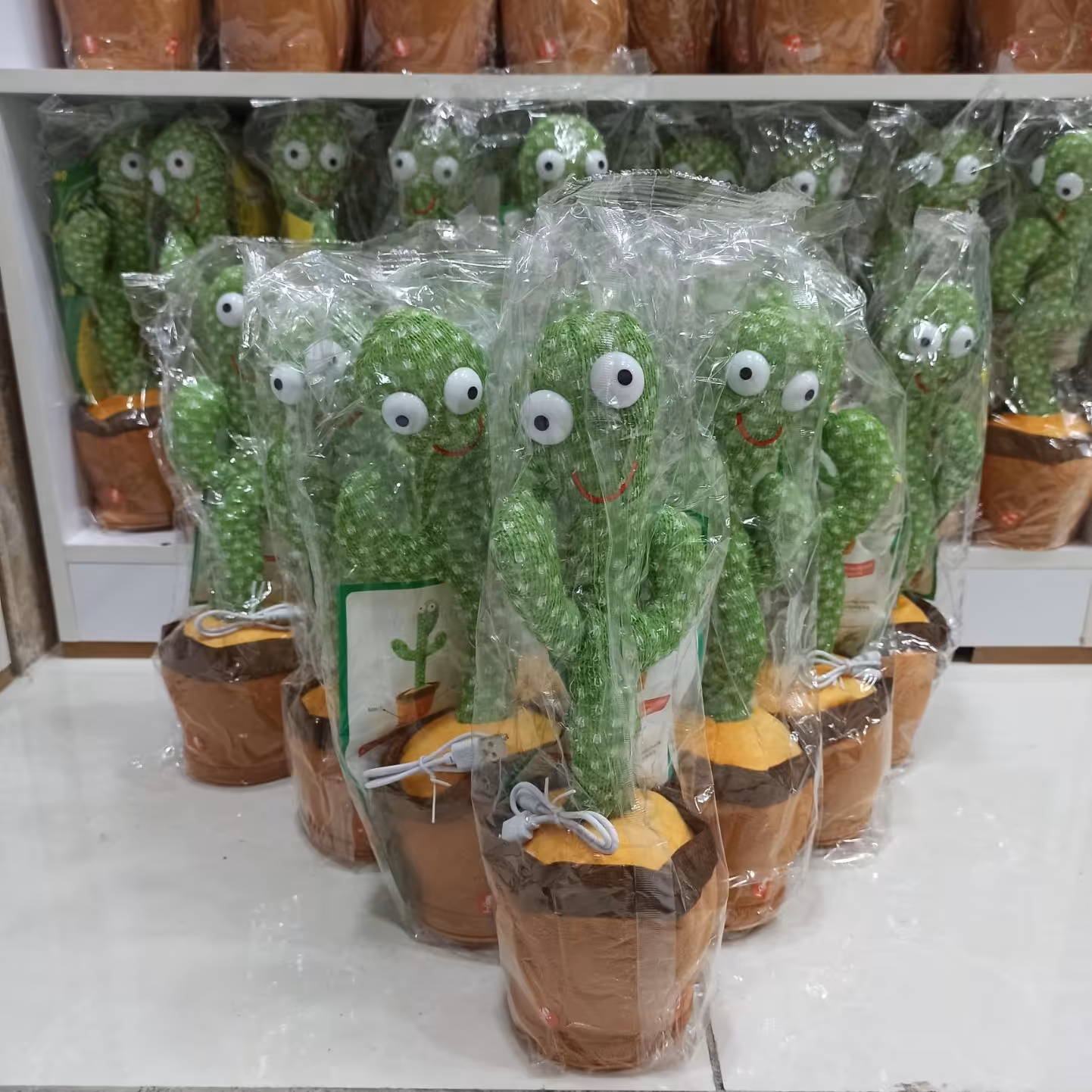 کاکتوس رقصان وسخنگو 