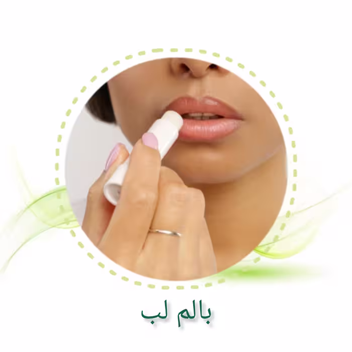 بالم لب 