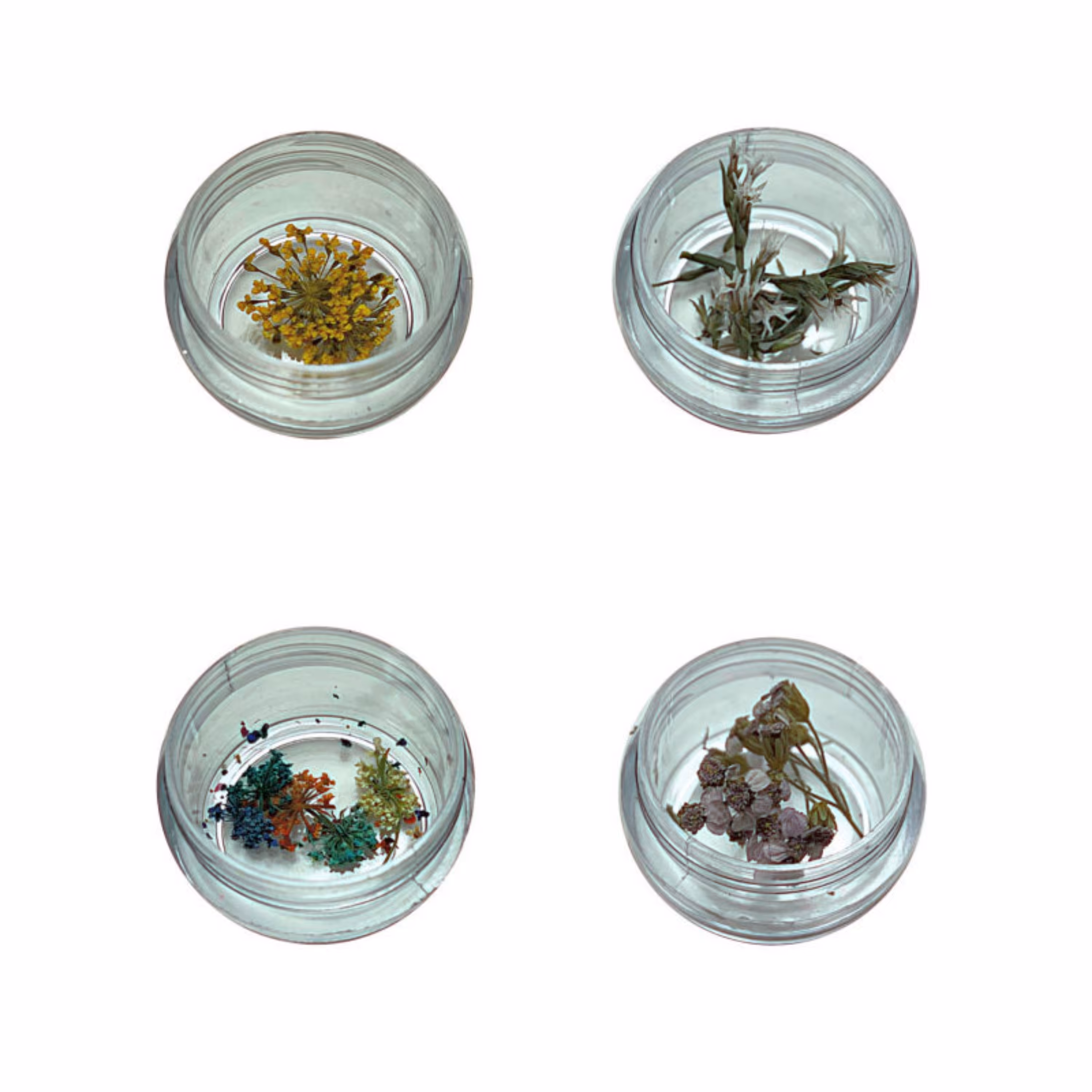 گل خشک مدل 02 مجموعه چهار عددی