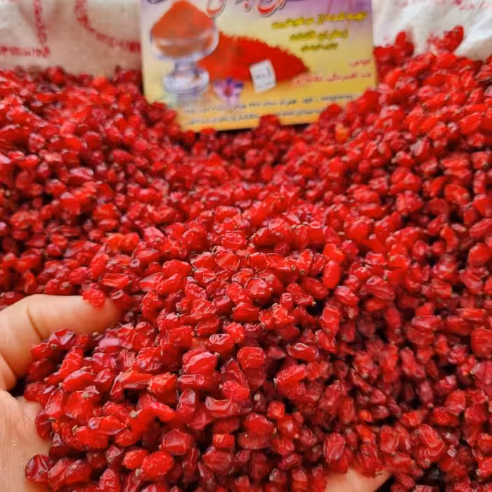 زرشک دونه اناری 500 گرمی اعلاء امسالی 1403(مستقیم از کشاورز)