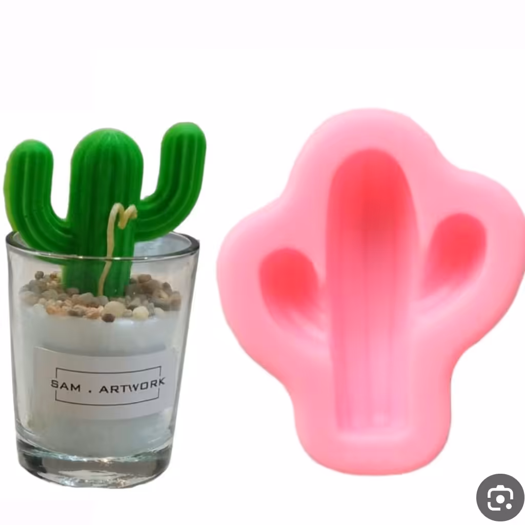 قالب کاکتوس.قالب سیلیکونی کاکتوس