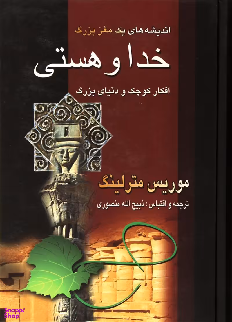 خدا و هستی افکار کوچک و دنیای بزرگ (اندیشه های یک مغز بزرگ)